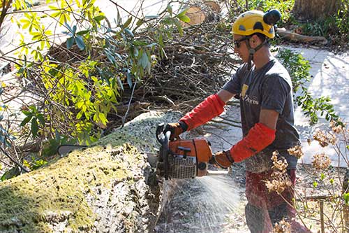 Réalisations d'Au fil des Arbres