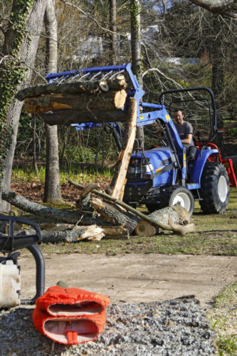 Au fil des arbres, élagage des arbres 62