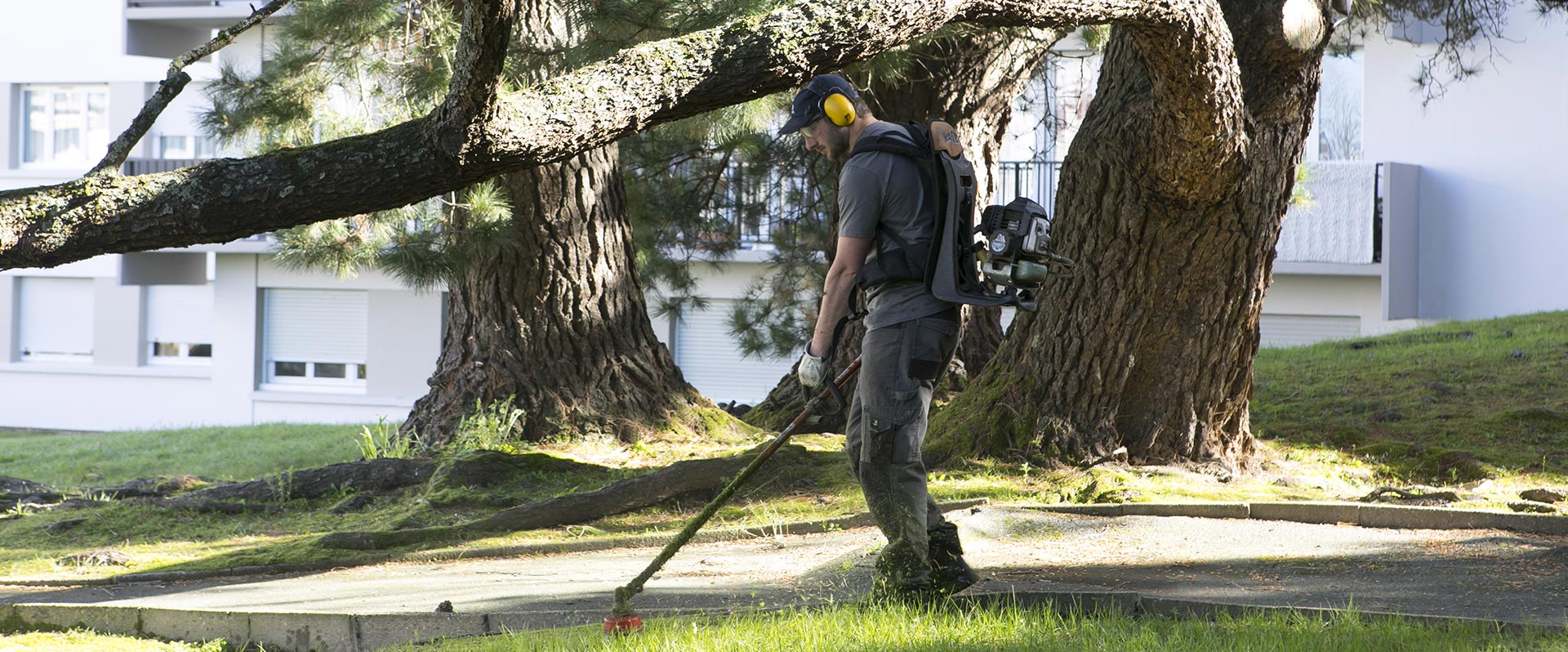 Au fil des arbres, entretien parcs et jardins 18