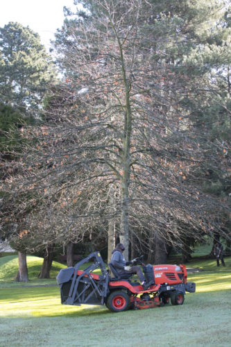 Au fil des arbres, entretien parcs et jardins 35