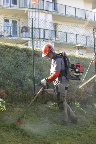 Au fil des arbres, entretien parcs et jardins 31