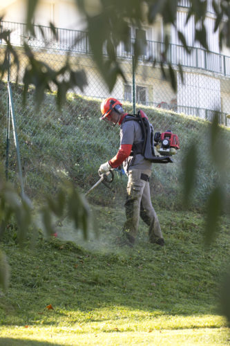 Au fil des arbres, entretien parcs et jardins 30