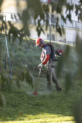 Au fil des arbres, entretien parcs et jardins 29