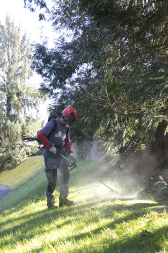 Au fil des arbres, entretien parcs et jardins 46