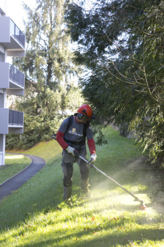 Au fil des arbres, entretien parcs et jardins 45