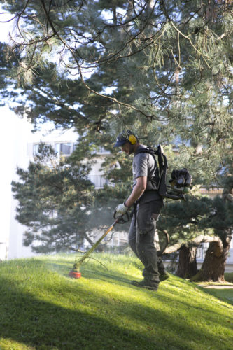 Au fil des arbres, entretien parcs et jardins 42