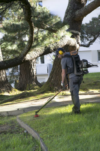 Au fil des arbres, entretien parcs et jardins 39