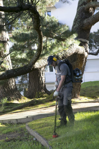 Au fil des arbres, entretien parcs et jardins 38