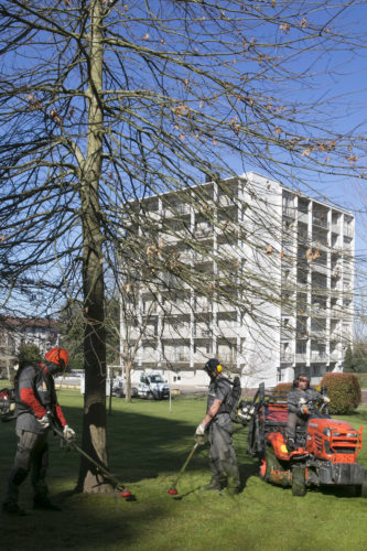 Au fil des arbres, entretien parcs et jardins 37