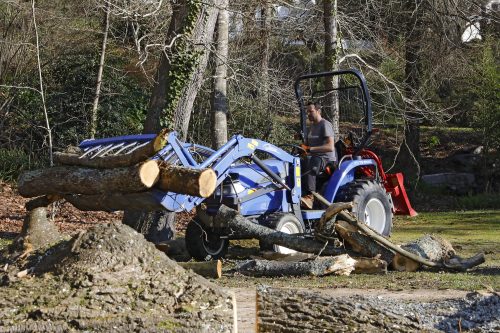 Au fil des arbres, élagage des arbres au pays basque 8