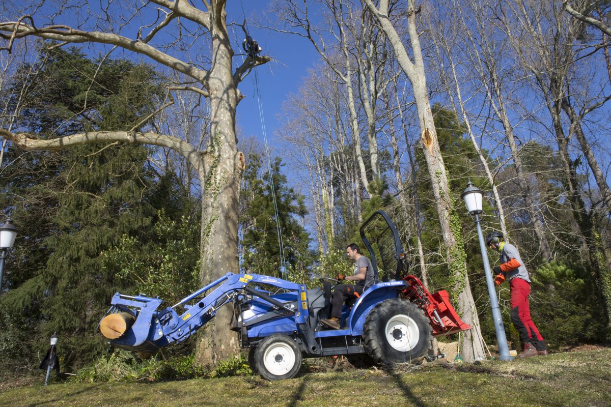 Au fil des arbres élagage met à disposition un équipement complet